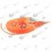 Fir trimmy motocoasa 3.5mm - 15m - Patrat 